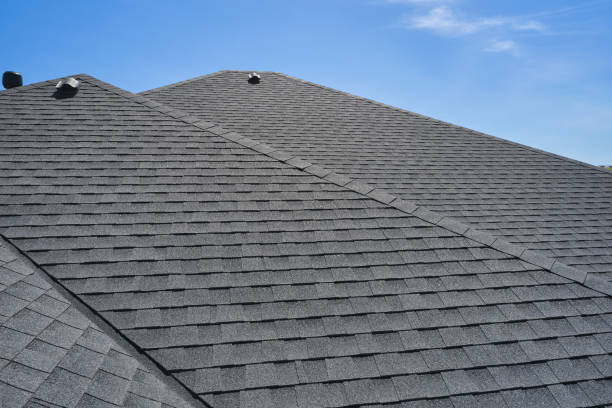 Roof Moss and Algae Removal in Seymour, WI